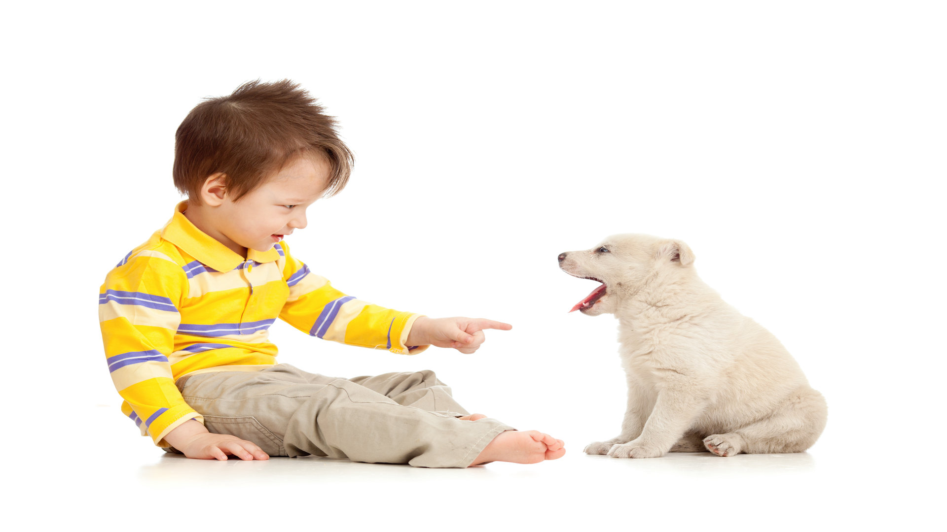 Comment bien dresser et éduquer son petit chien ?
