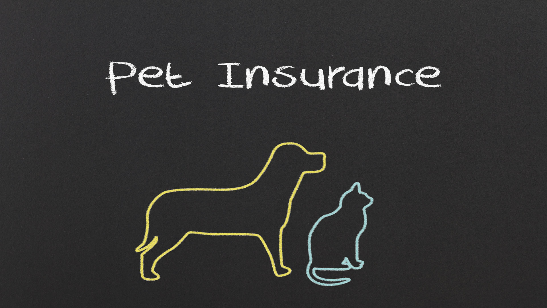 Économiser avec l’assurance pour chien